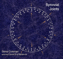 Steve Coleman & The Council Of Balance: Synovial Joints (CD: Pi Recordings)