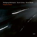 Wolfgang Muthspiel: Angular Blues (CD: ECM)